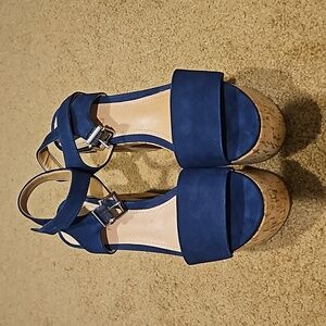 Wedge Platform Sandals in Navy Blue